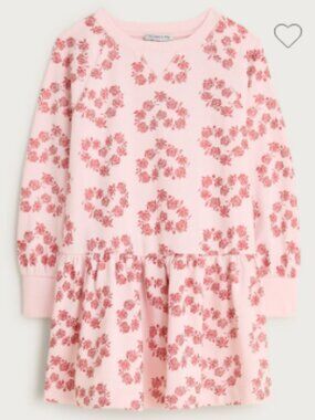 J. Crew Girls Sweatshirt Dress Cotton Terry Pink w/ Red Foil Hearts XL 12 NWT